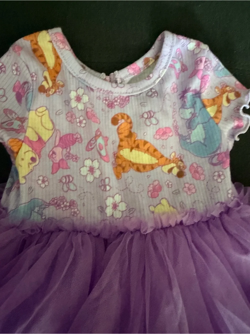 Disney Baby Purple and Pink Printed Bodysuit